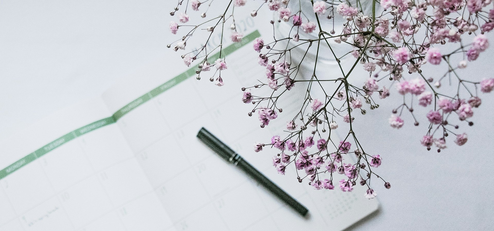 Den Frühling nutzen: Nehmen Sie an unserem Abendkurs teil!