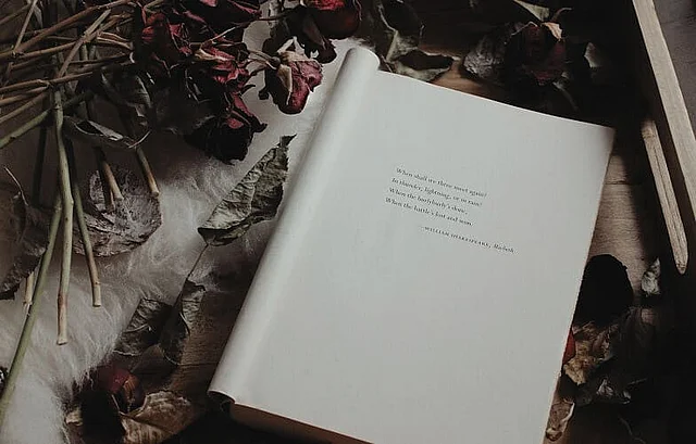 20th Century English Romantic Fiction